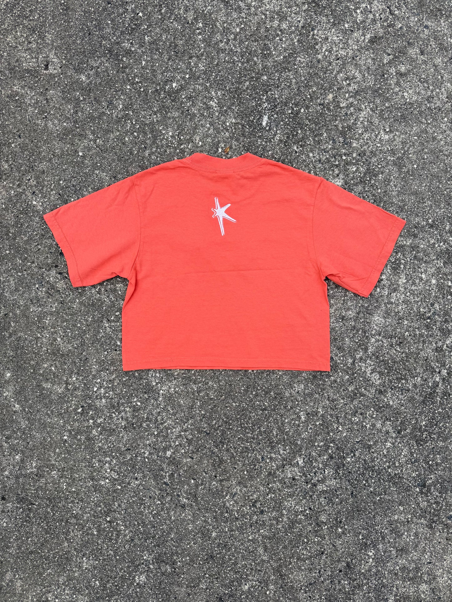 HKZ PEACH CROP TOP TEE